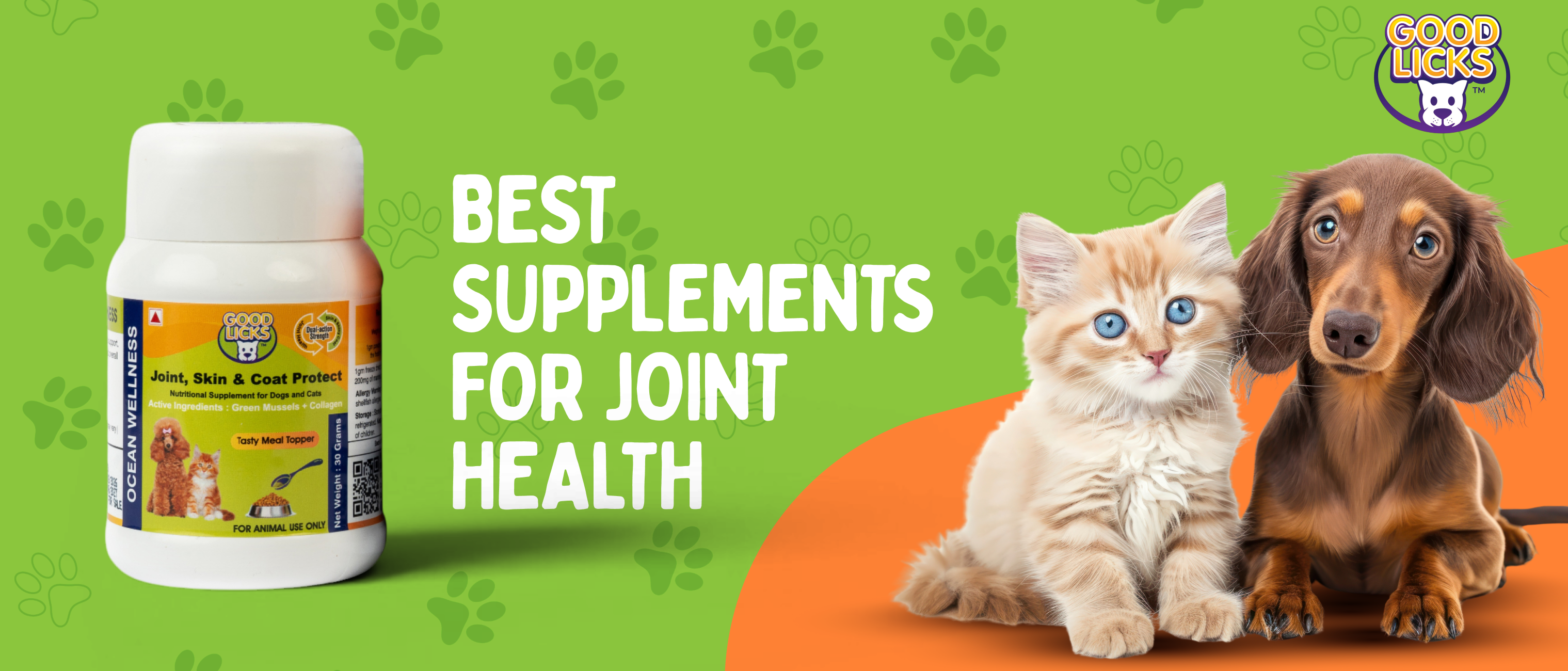 Best Supplements for Joint Health in Dogs and Cats