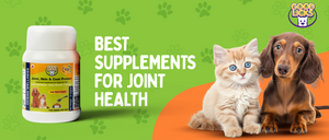 Best Supplements for Joint Health in Dogs and Cats