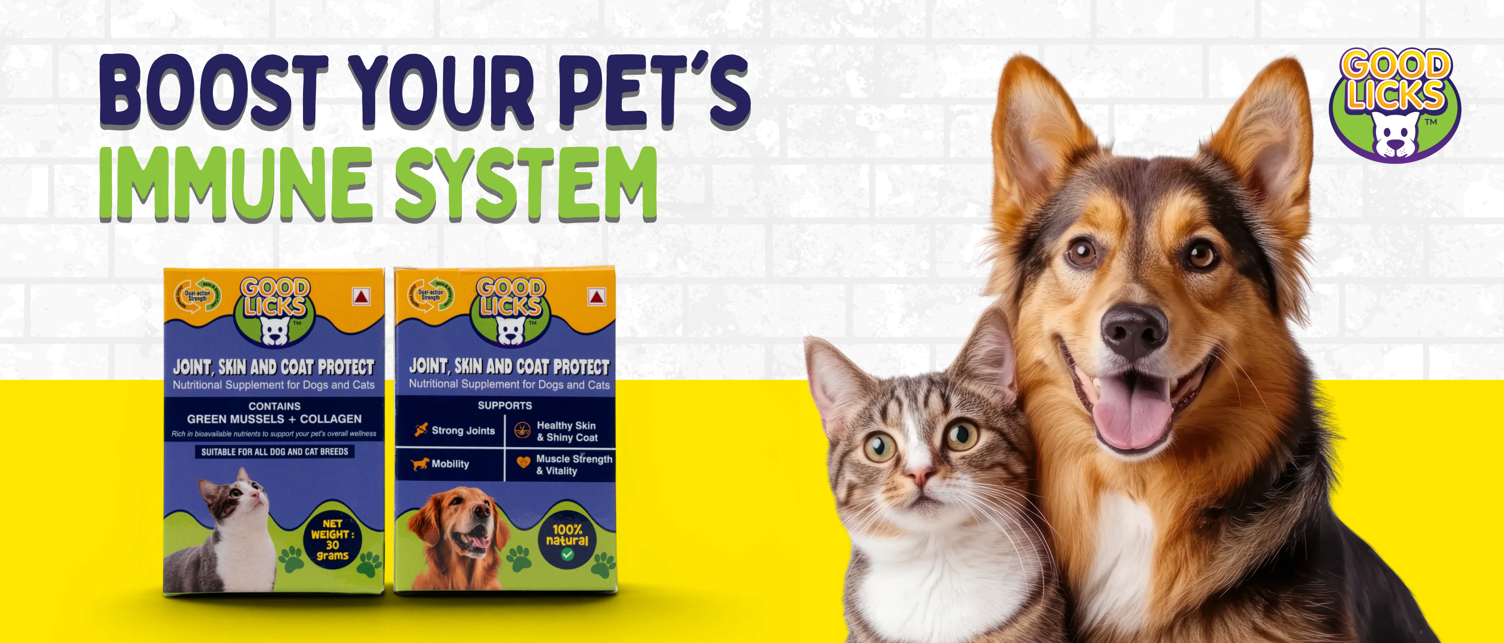 How to Boost Your Pet’s Immune System with Supplements