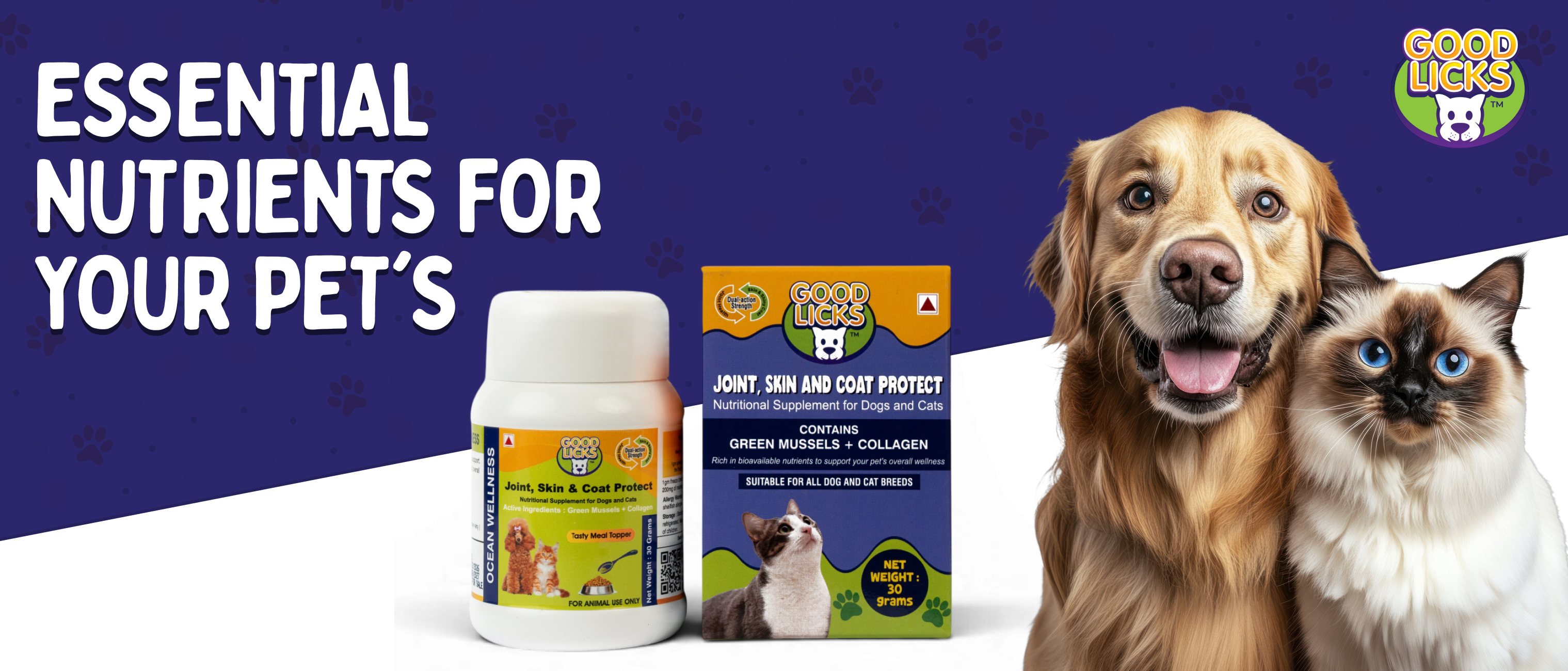 Essential Nutrients for Your Pet’s Skin and Coat Health