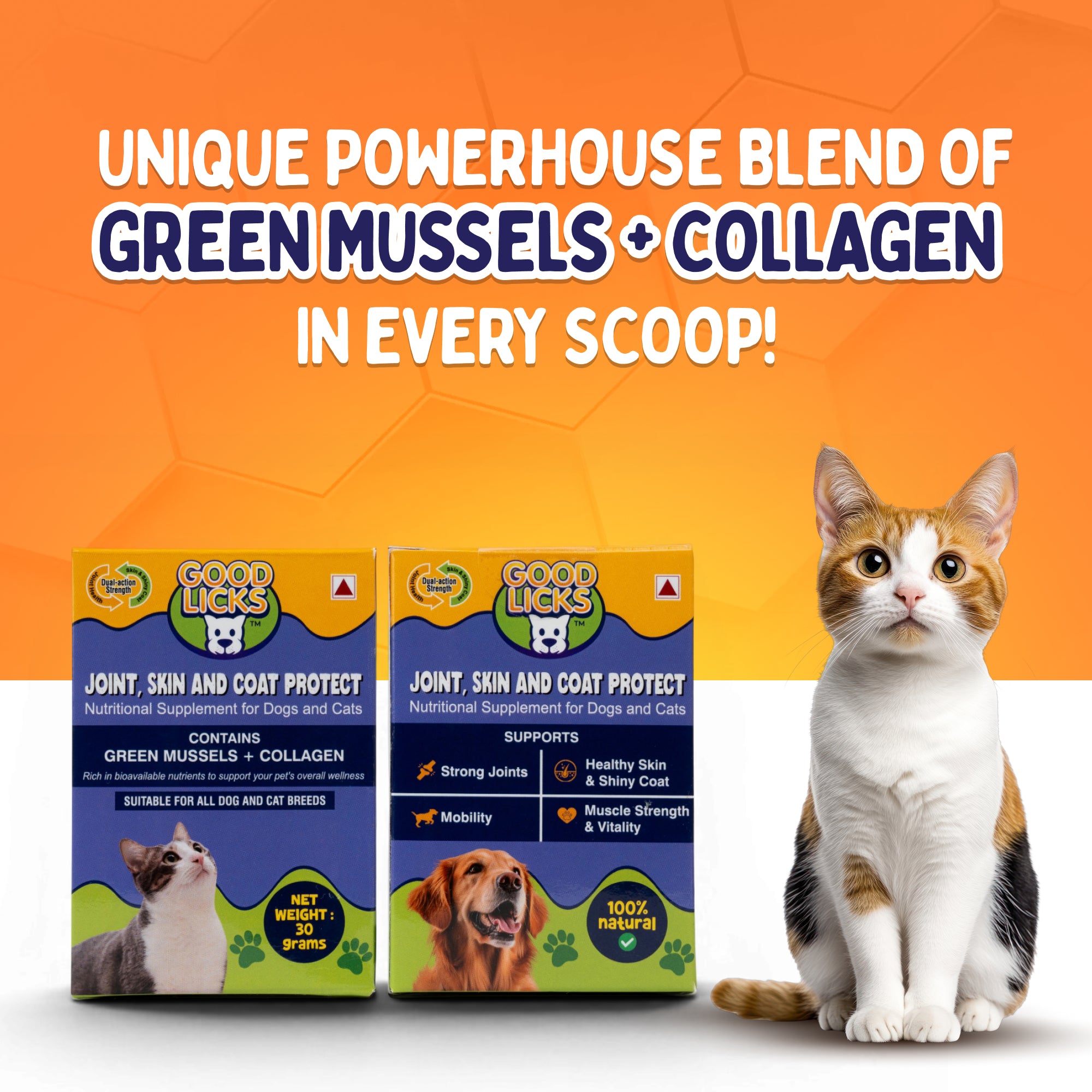 GOOD LICKS™ Joint and Mobility Health Supplement for Cats (30 Grams x2)