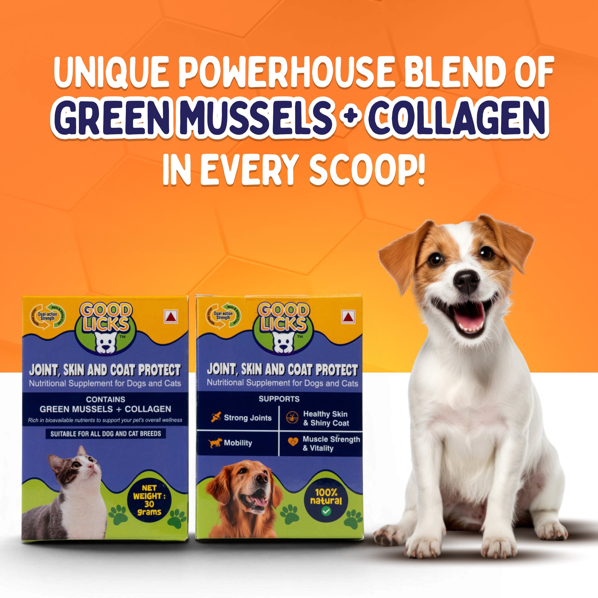 GOOD LICKS™ Joint Skin and Coat Protect for Dogs (30 Grams * 2)