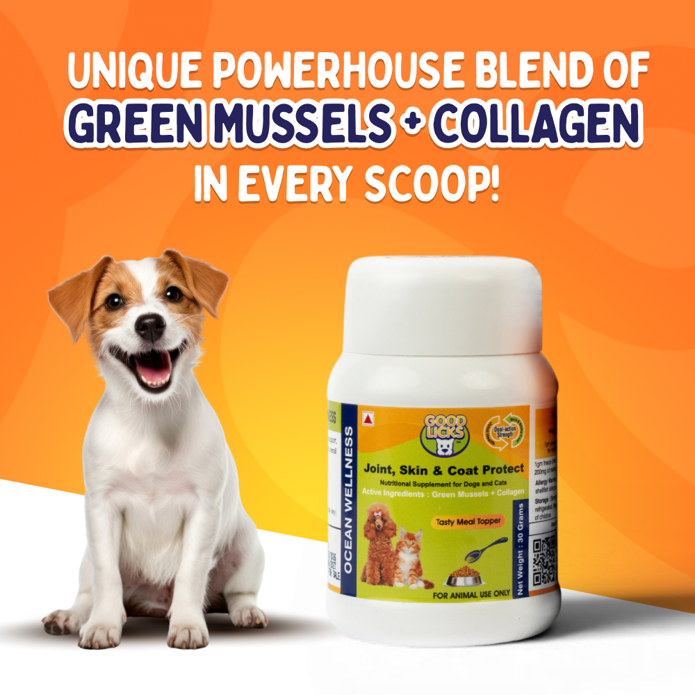 GOOD LICKS™ Joint and Mobility Health Supplement for Dogs (30 Grams)