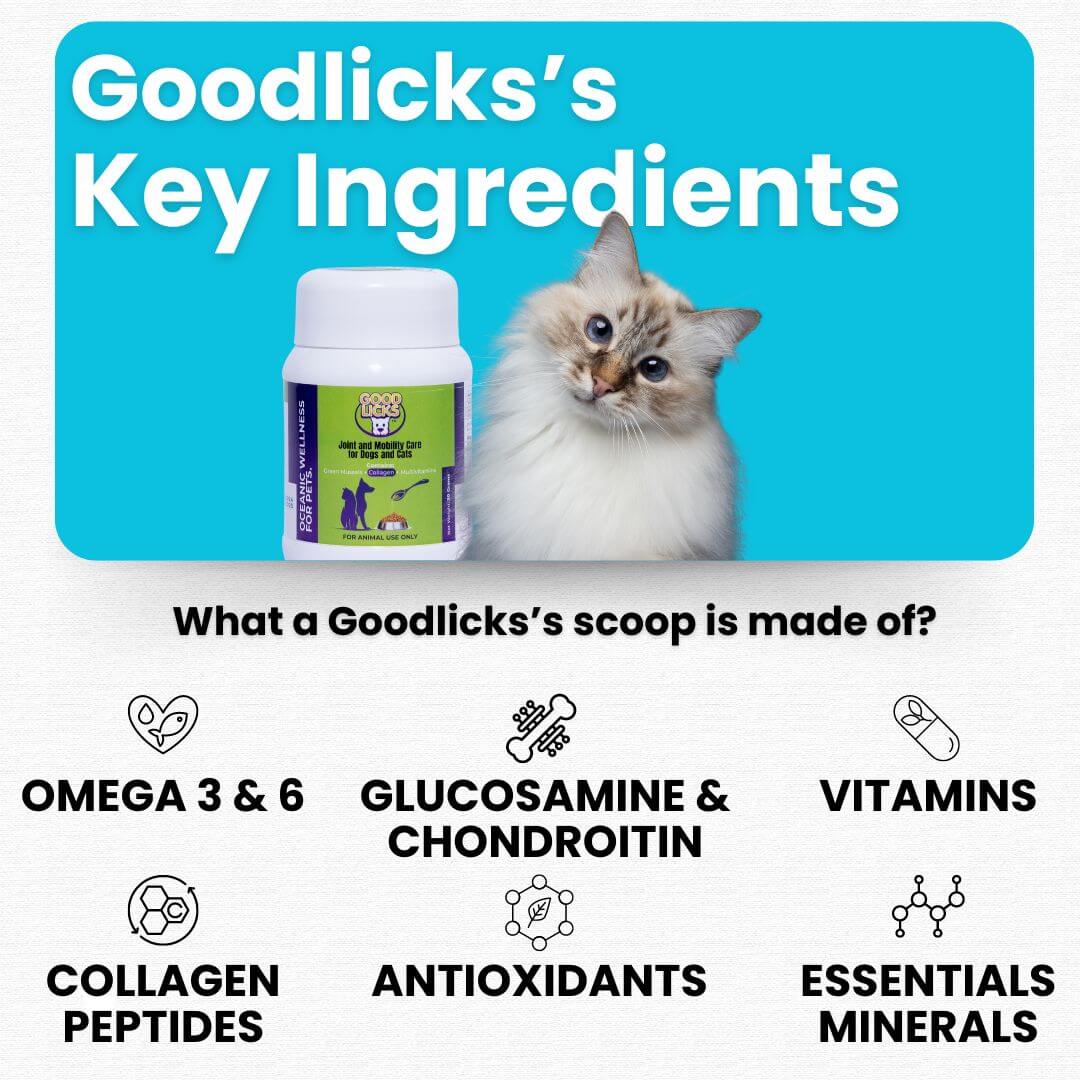 joint and mobility health supplement for cats and dogs