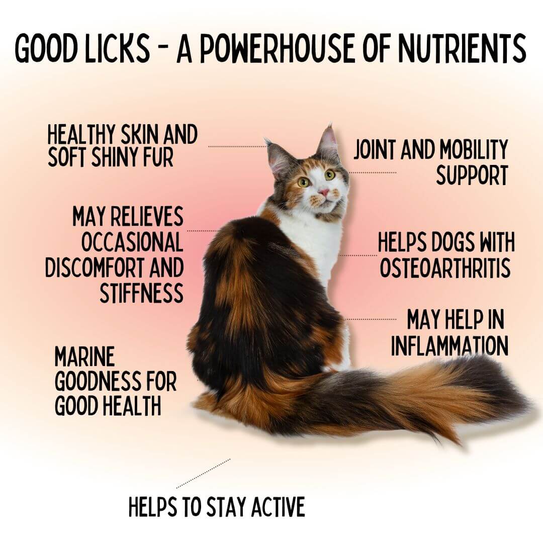 joint and mobility health supplement for cats and dogs